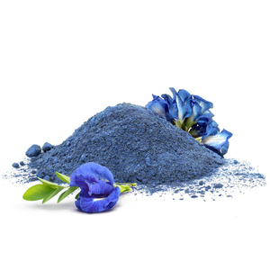 Mary Rose – Blue Matcha Alternative – Butterfly Pea Tea Powder 50g