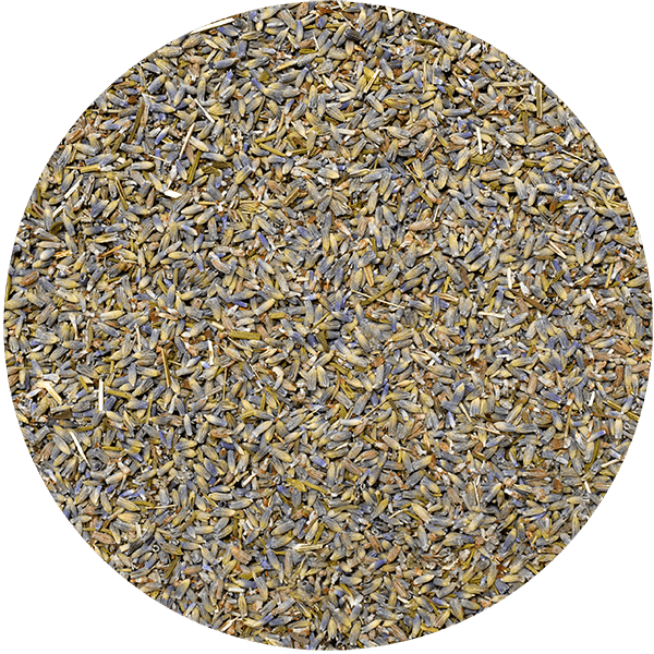 Mary Rose – Lavendel 25 g – Lavendelblüten (aus biologischem Anbau)