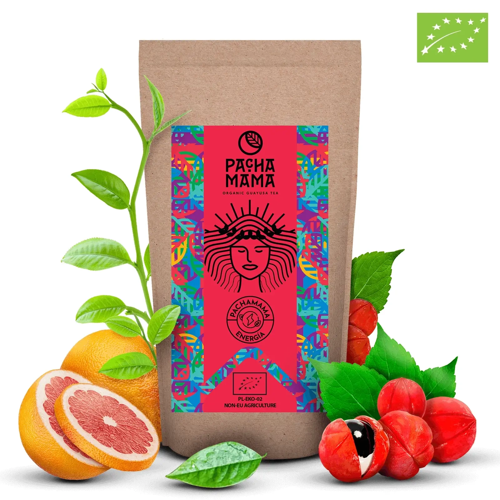 Guayusa Pachamama Energia - Zbliżenie liści