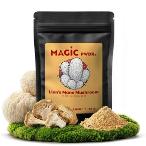 Magic Pwdr – Lion's Mane – Igelpilz 30 g