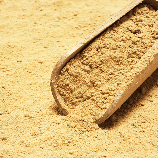Vivarini - Ginger organic (ground) 50g