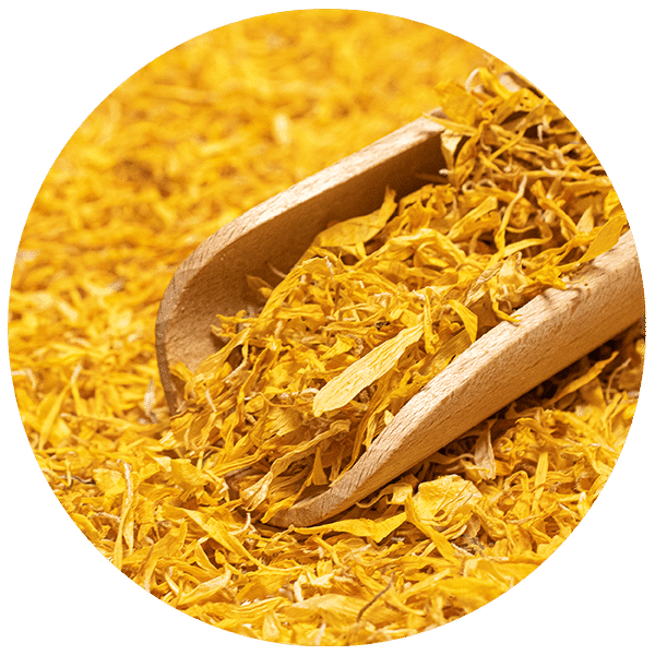 Ringelblume 100 g – Ringelblumenblüten (Blütenblätter)