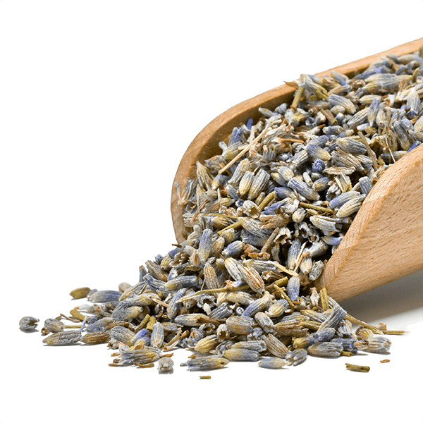 Mary Rose – Lavendel 25 g – Lavendelblüten (aus biologischem Anbau)