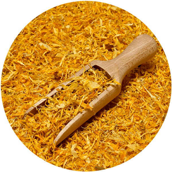 Mary Rose – Marigold 10g – Marigold Flower Petals