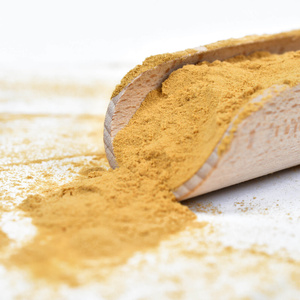 Magic Pwdr – Lion's Mane 100g