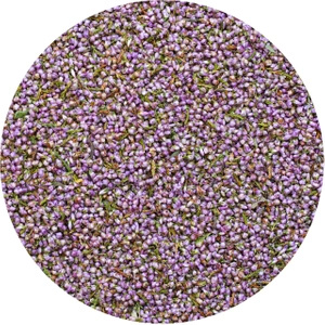 Mary Rose – Heidekraut 30 g – Heidekrautblüten