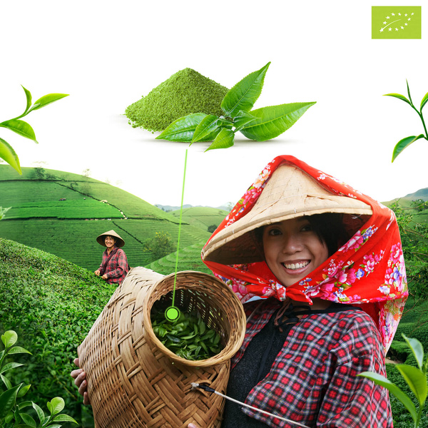 Mary Rose – Japanischer Matcha-Grüntee (Bio) Premium 30 g