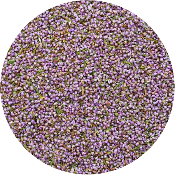 Mary Rose – Heidekraut 30 g – Heidekrautblüten