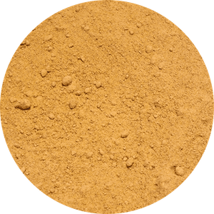 Vivarini – Ingwer (gemahlen) 50 g 