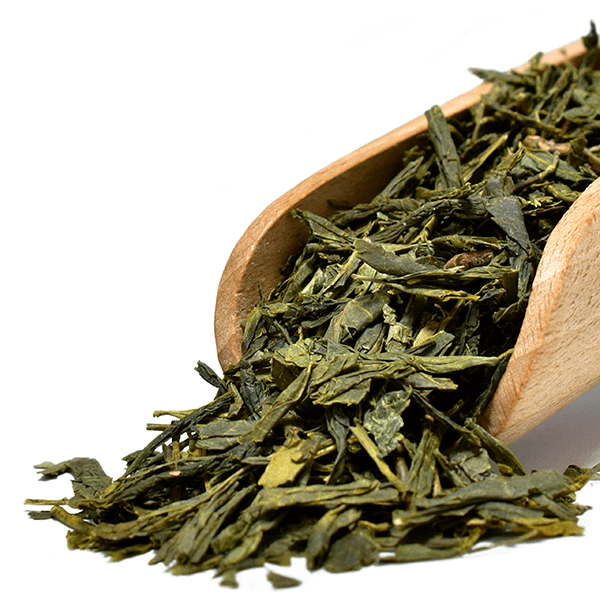 Mary Rose – Sencha-Grüntee in der Dose – 50 g