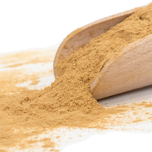 Magic Pwdr – Reishi 100g