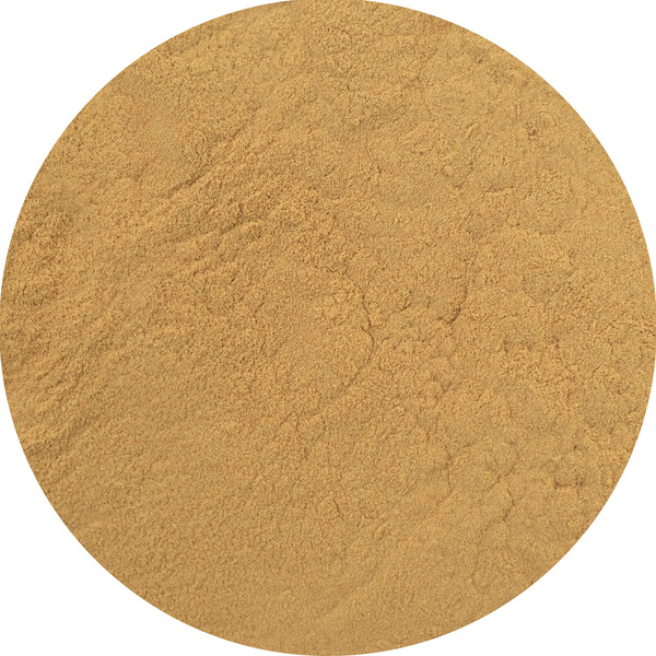 Magic Pwdr – Reishi 30g