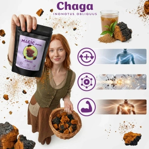 Magic Pwdr – Chaga 50g