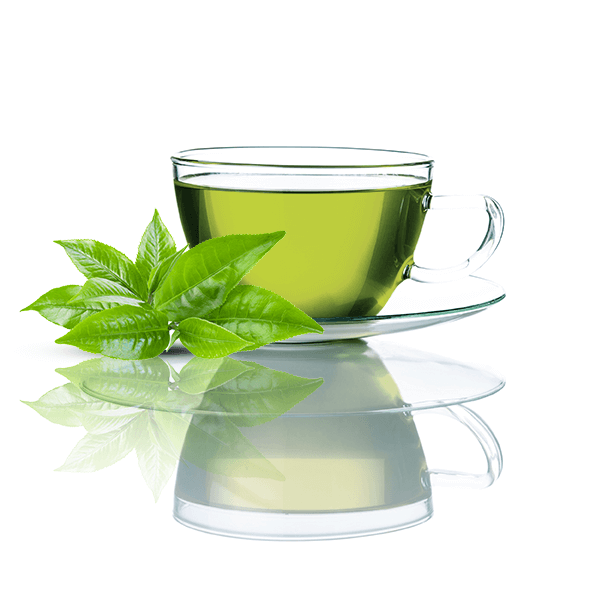 Mary Rose – Sencha-Grüntee in der Dose – 50 g