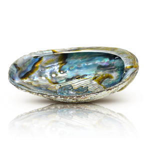 Räucherstäbchenhalter – Abalone-Muschel