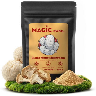 Magic Pwdr – Lion's Mane – soplówka jeżowata 100 g