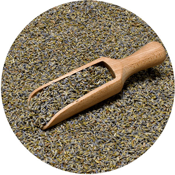 Mary Rose – Lavendel 25 g – Lavendelblüten (aus biologischem Anbau)