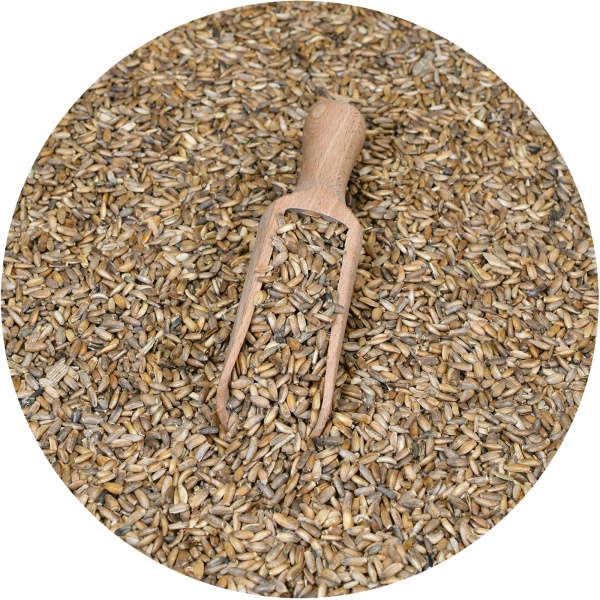 Vivarini – Ostropest (ziarno) 50 g