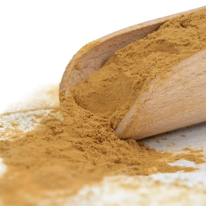 Magic Pwdr – Chaga 50 g