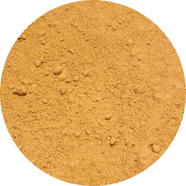 Vivarini – Ingwer (gemahlen) 50 g 
