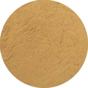 Magic Pwdr – Reishi 100g