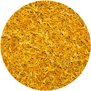 Mary Rose – Marigold 10g – Marigold Flower Petals